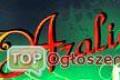 Firma  AZALIA-Piel�gnacja Ogrod�w