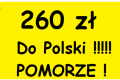 260 Z do Niemiec-Przewz osb i paczek 733 757 333