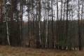 Sprzedam Dzia�k� Budowlan�,roln�- Tanio